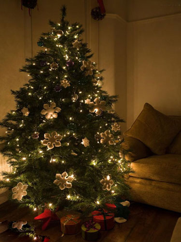 圣诞节装饰必备 10款精美的圣诞树推荐