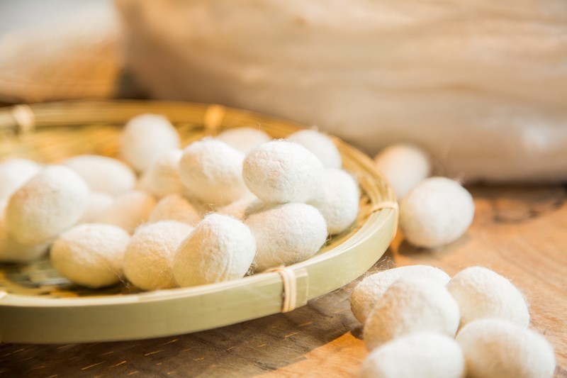 钱皇携手妈妈购 为妈妈和宝宝带来优质睡眠-家