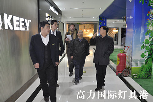北京消协 欧盟项目领导莅临高力国际灯具港